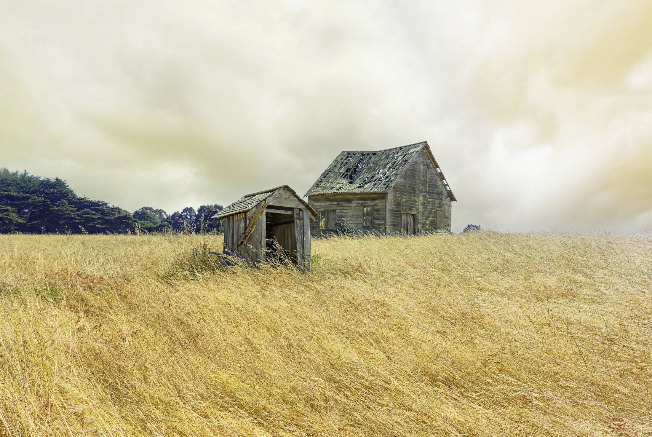 Barn, Andrew Wyeth