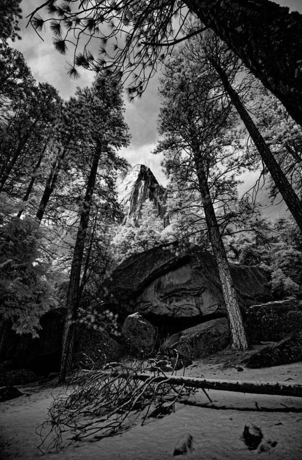 Yosemite National Park
