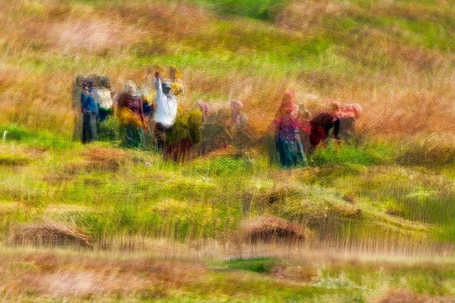 Farmers, India