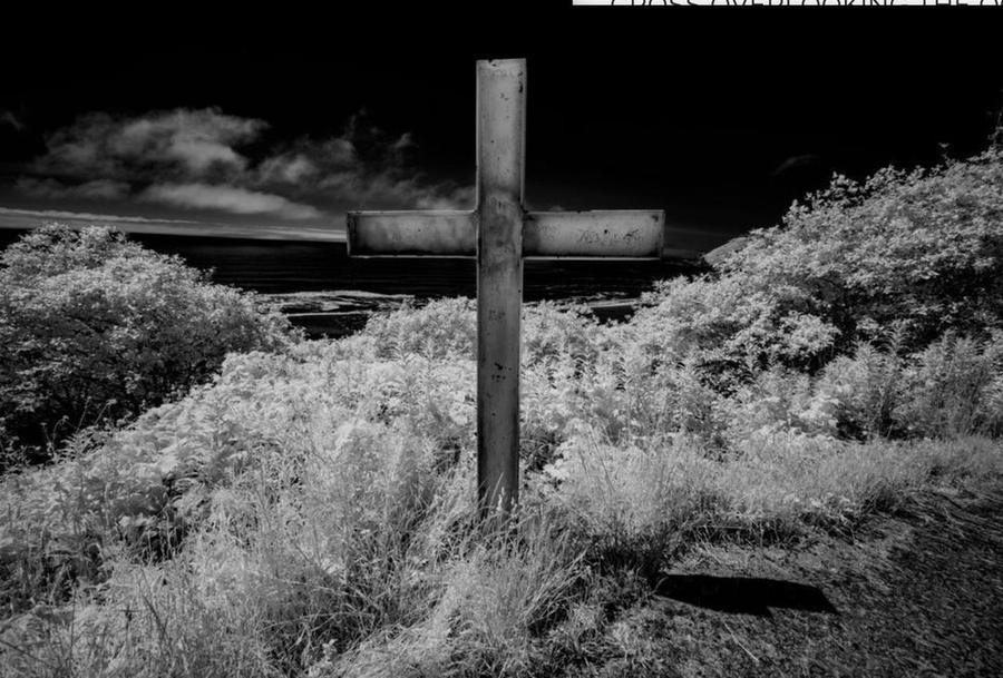 Cross, California Redwood Coast