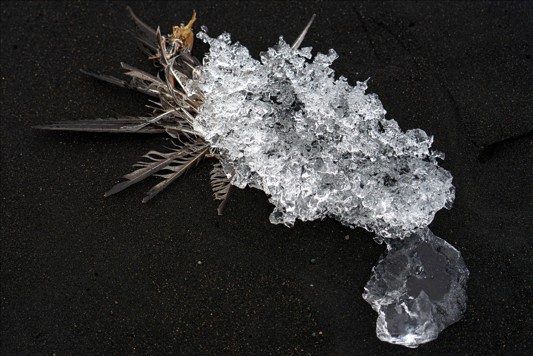 Ice Sculpture, Iceland
