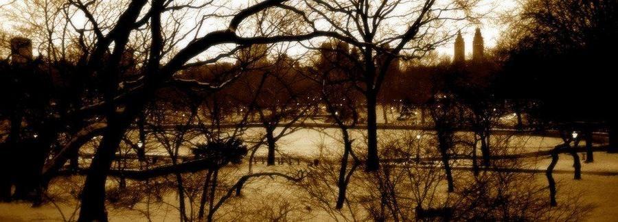 Winter, Central Park, 1997